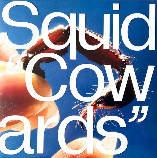 Album art for Squid - Cowards