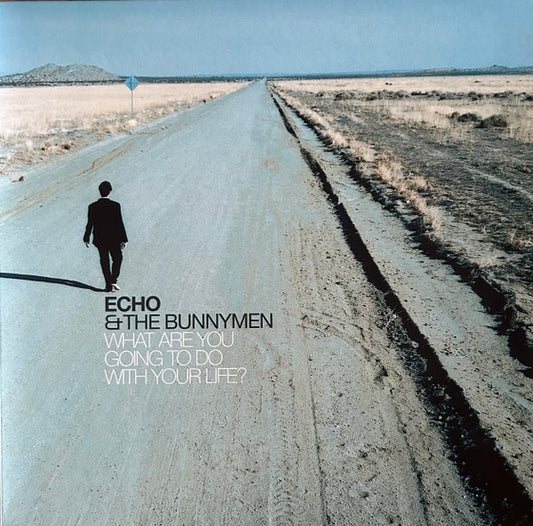 Album art for Echo & The Bunnymen - What Are You Going To Do With Your Life?