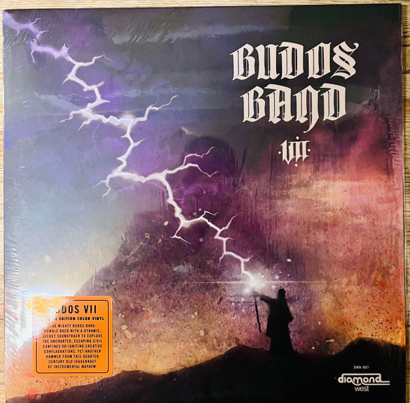 Album art for The Budos Band - VII