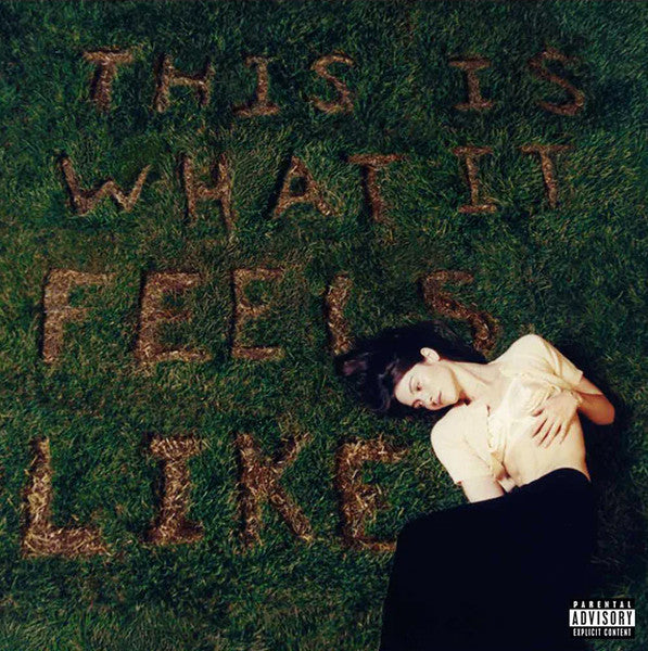 Album art for Gracie Abrams - This Is What It Feels Like