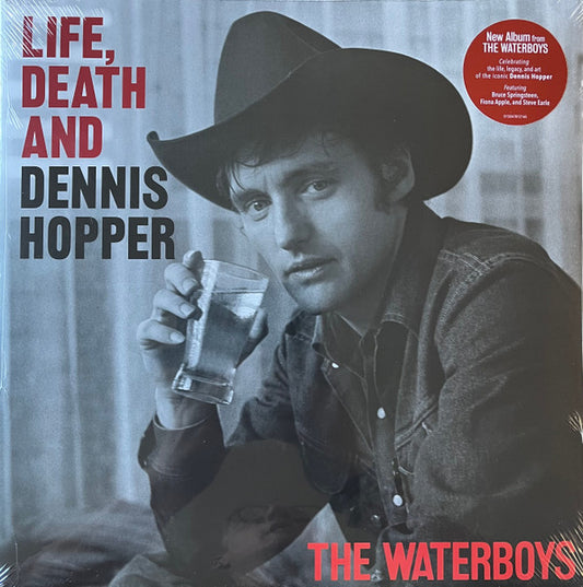 Album art for The Waterboys - Life, Death And Dennis Hopper