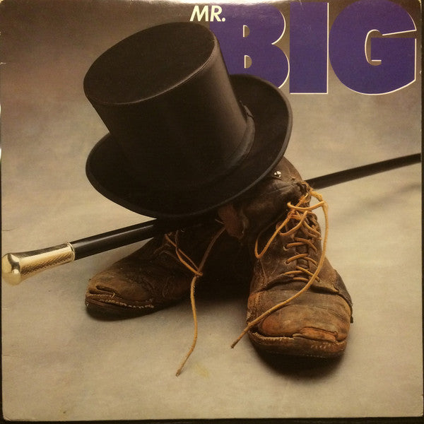 Album art for Mr. Big - Mr. Big