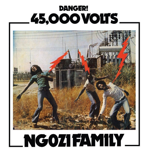 Album art for Ngozi Family - 45,000 Volts