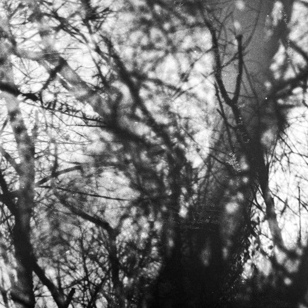 Album art for Grouper - Way Their Crept