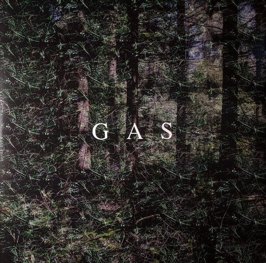 Album art for Gas - Rausch