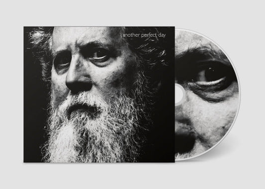 Album art for Bill Orcutt -  Another Perfect Day