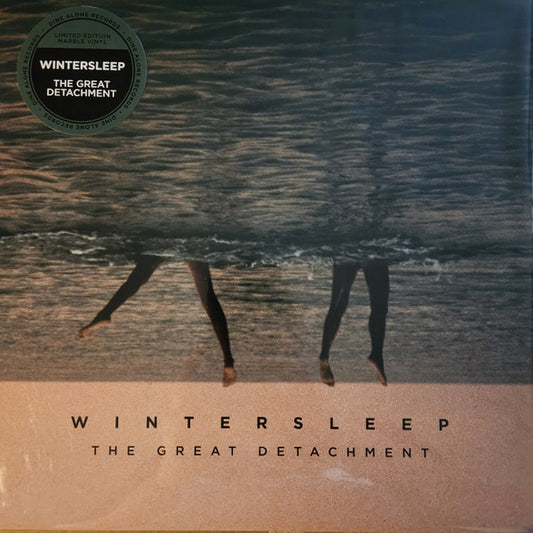 Album art for Wintersleep - The Great Detachment
