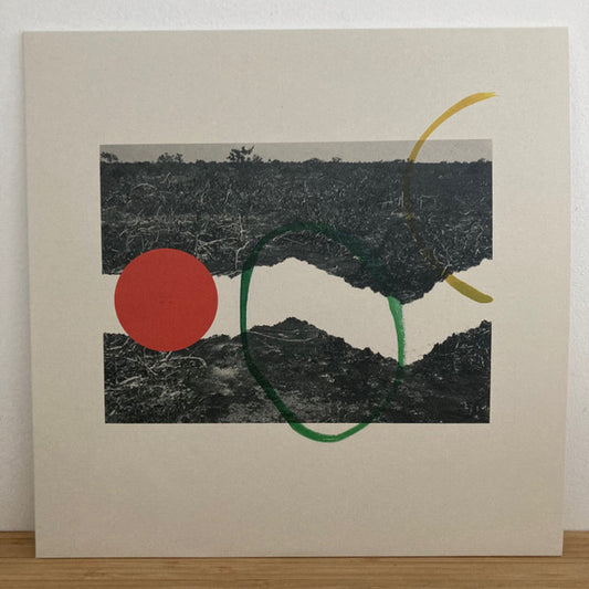 Album art for H. Takahashi - Paleozoic