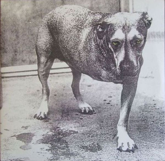 Album art for Alice In Chains - Alice In Chains