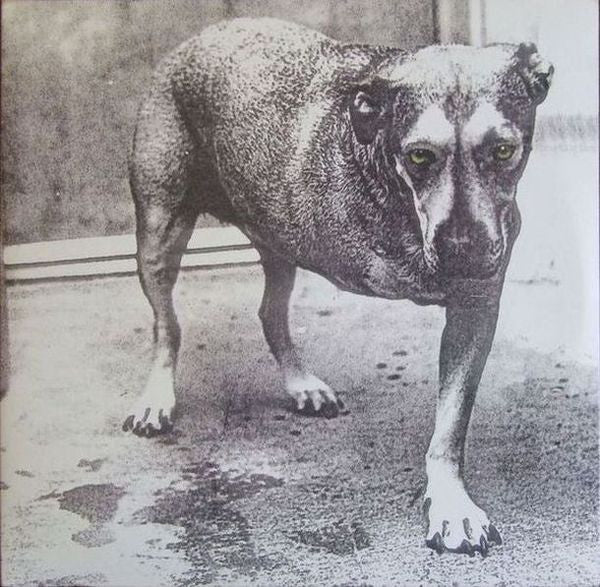 Album art for Alice In Chains - Alice In Chains