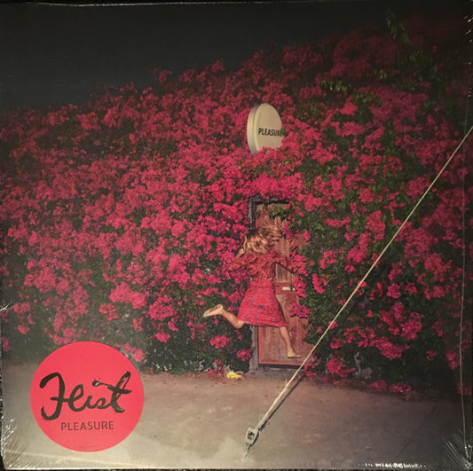 Album art for Feist - Pleasure