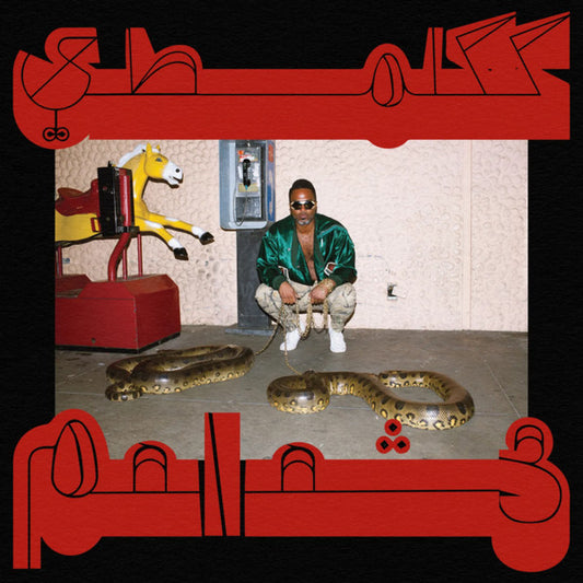 Album art for Shabazz Palaces - Robed in Rareness