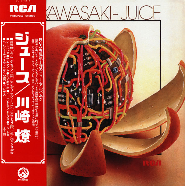 Album art for Ryo Kawasaki - Juice = ジュース