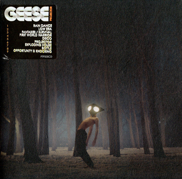 Album art for Geese - Projector