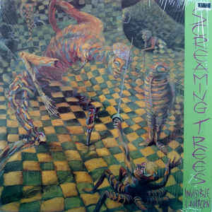 Album art for Screaming Trees - Invisible Lantern