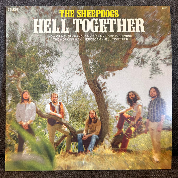 Album art for The Sheepdogs - Hell Together