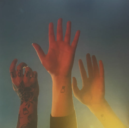 Album art for boygenius - The Record