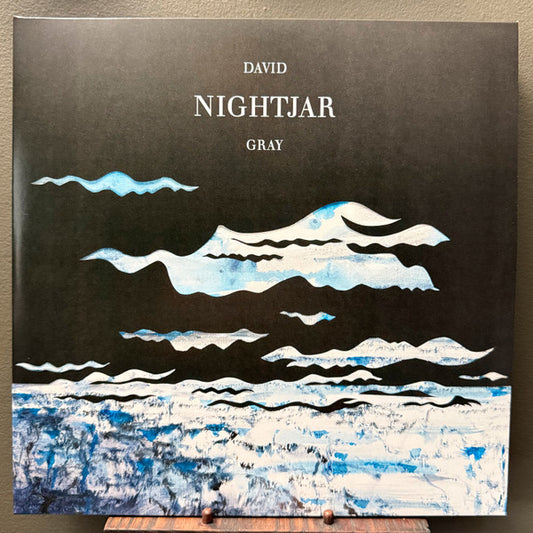 Album art for David Gray - Nightjar