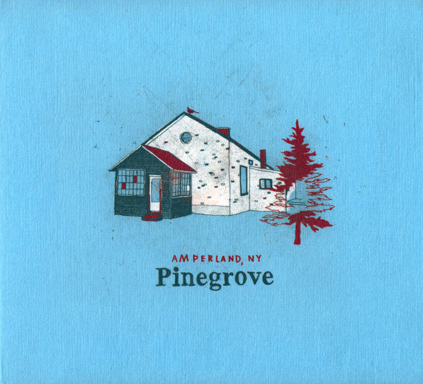 Album art for Pinegrove - Amperland, NY