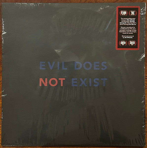 Album art for Eiko Ishibashi - Evil Does Not Exist