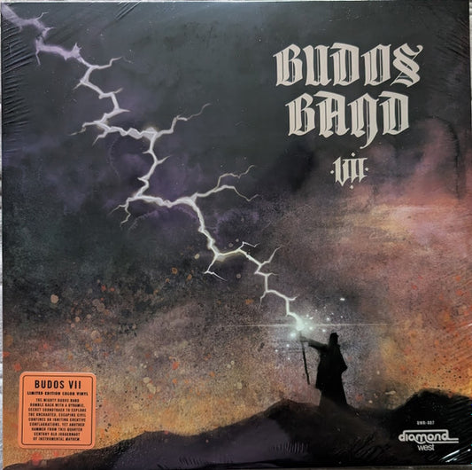 Album art for The Budos Band - VII