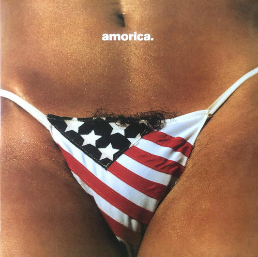Album art for The Black Crowes - Amorica