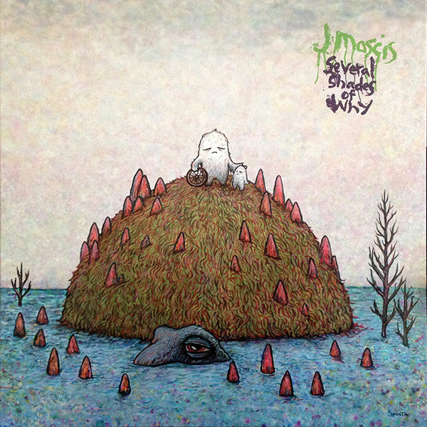 Album art for J Mascis - Several Shades Of Why