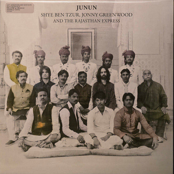 Album art for Shye Ben-Tzur - Junun