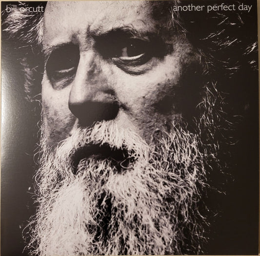 Album art for Bill Orcutt - Another Perfect Day