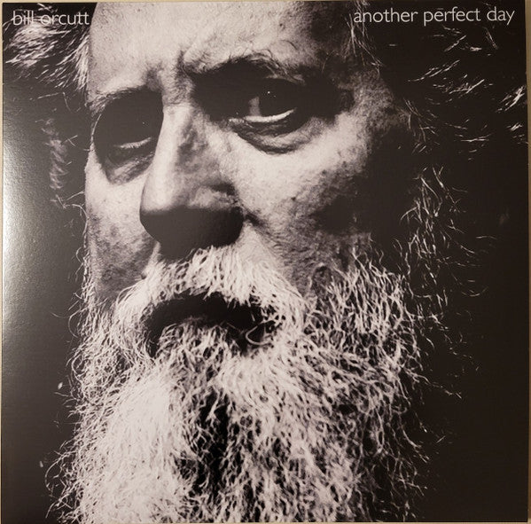 Album art for Bill Orcutt - Another Perfect Day