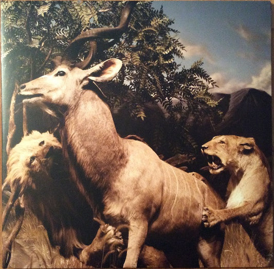 Album art for Interpol - Our Love To Admire