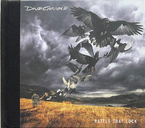 Album art for David Gilmour - Rattle That Lock