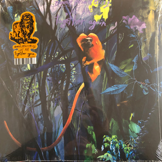 Album art for Bonnie "Prince" Billy - We Are Together Again