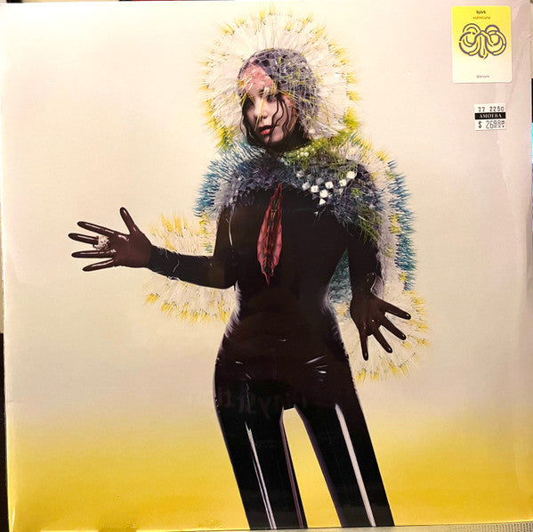 Album art for Björk - Vulnicura