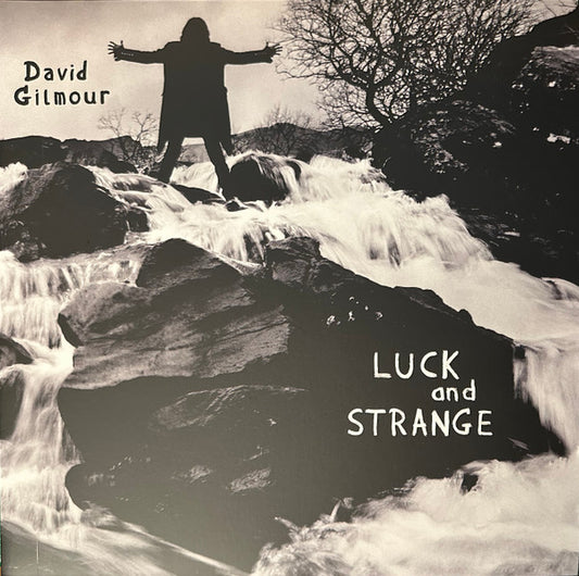 Album art for David Gilmour - Luck And Strange