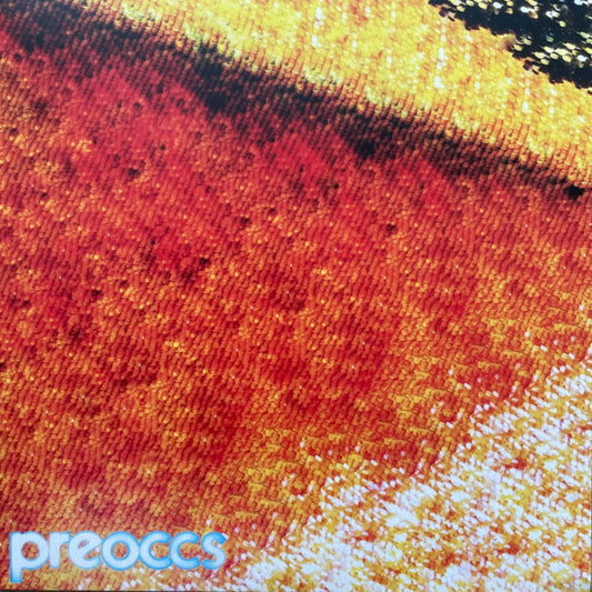Album art for Preoccupations - MUR/PONR