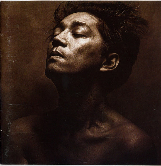 Album art for Ryuichi Sakamoto - Beauty
