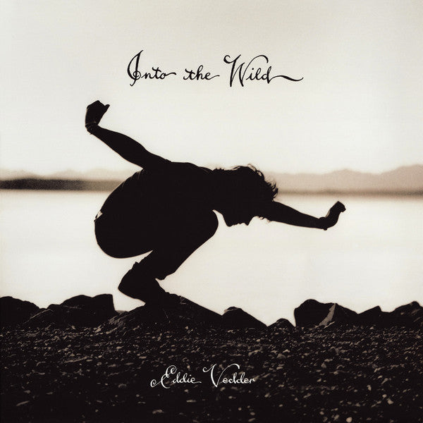 Album art for Eddie Vedder - Into The Wild