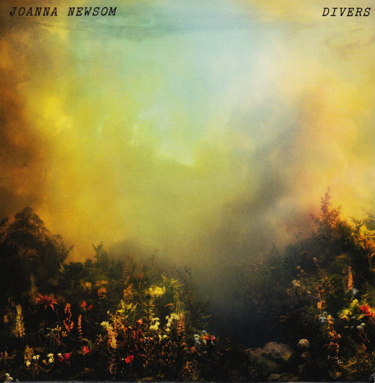 Album art for Joanna Newsom - Divers