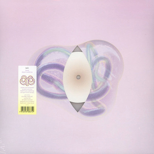 Album art for Björk - Family (Bloom's North Mix) 