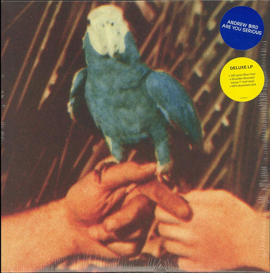 Album art for Andrew Bird - Are You Serious
