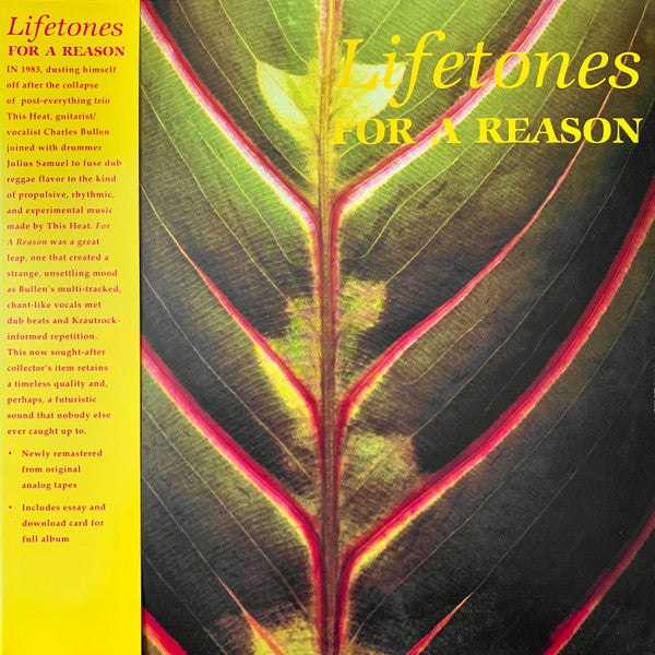 Album art for Lifetones - For A Reason 