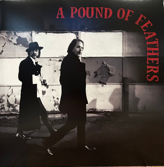 Album art for The Black Crowes - A Pound Of Feathers
