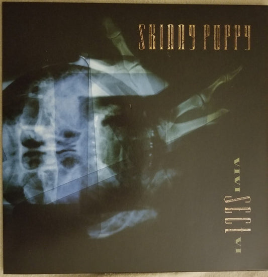 Album art for Skinny Puppy - VIVIsectVI