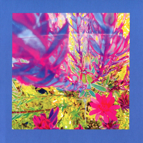 Album art for The Reds, Pinks And Purples - The Past Is A Garden I Never Fed