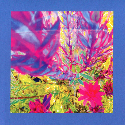 Album art for The Reds, Pinks And Purples - The Past Is A Garden I Never Fed