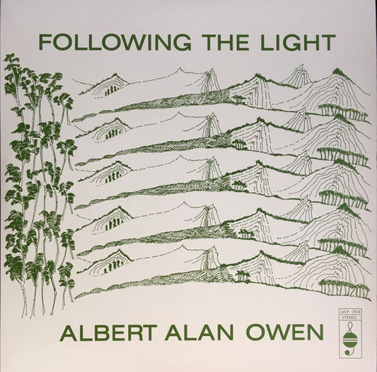 Album art for Albert Alan Owen - Following The Light