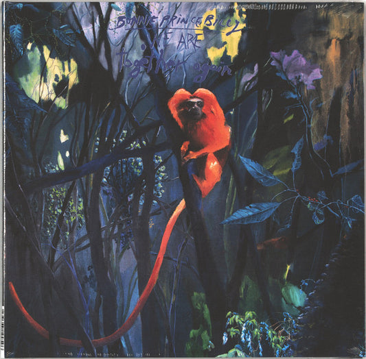 Album art for Bonnie "Prince" Billy - We Are Together Again