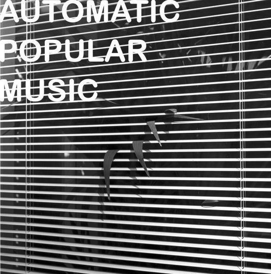 Album art for Nicola Ratti - Automatic Popular Music