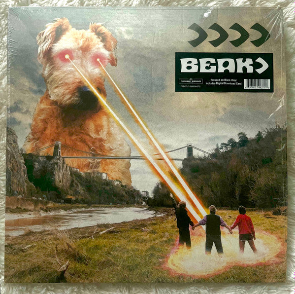 Album art for Beak> - >>>>